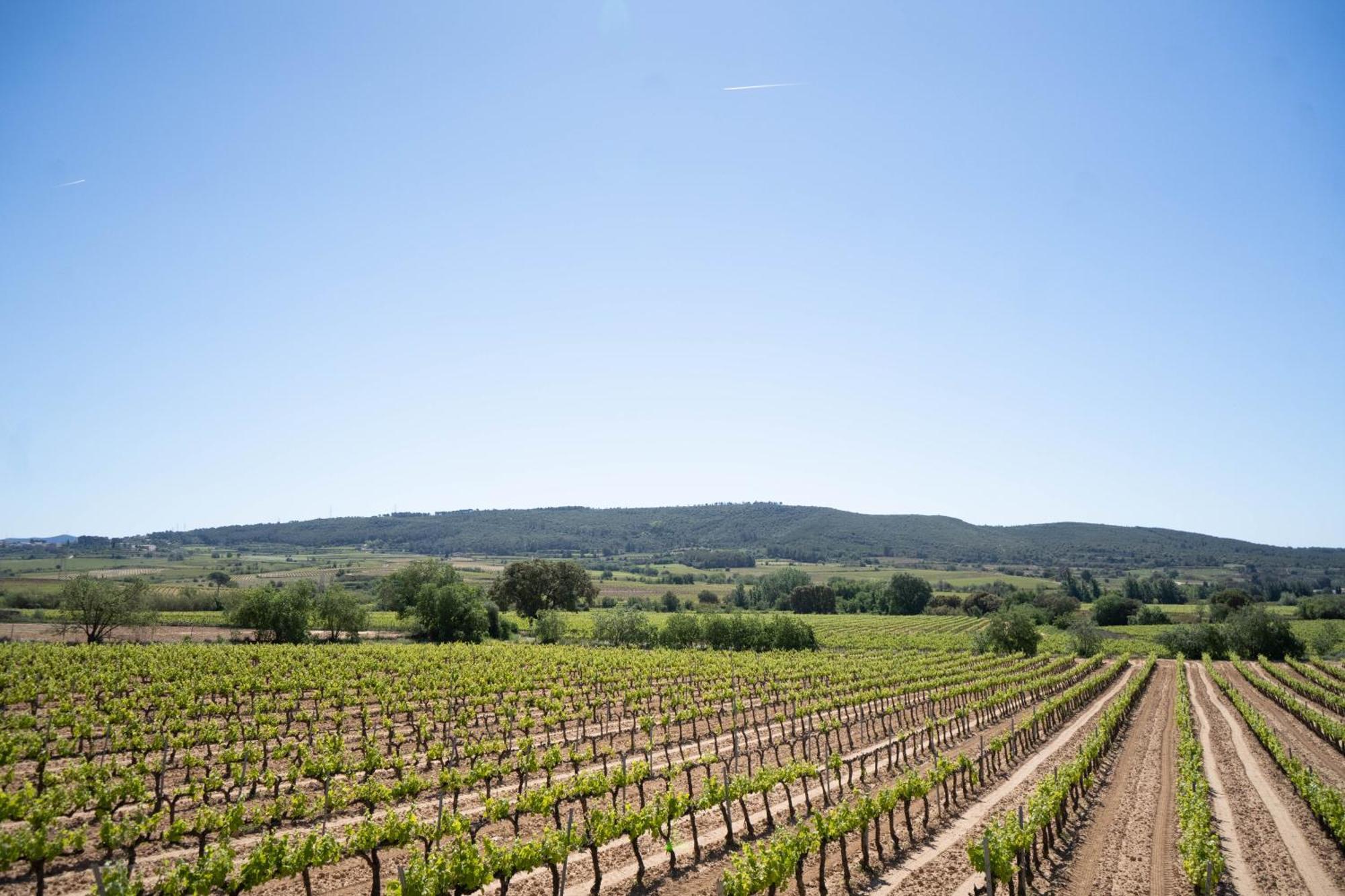 Cal Llop Villa Sant Cugat Sesgarrigues Kültér fotó
